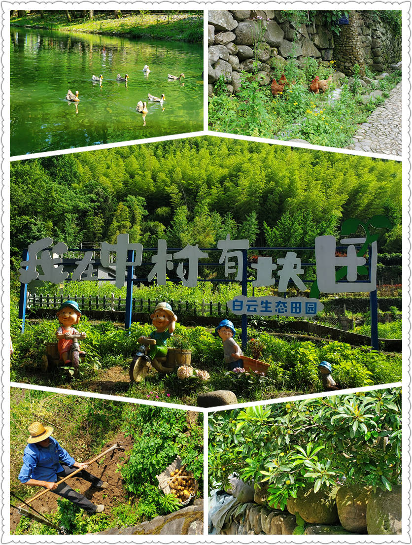 宁波古村落 – 鹿亭中村-从走一回青春