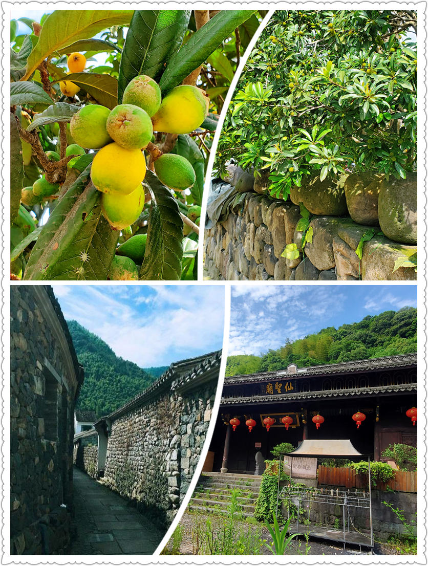 宁波古村落 – 鹿亭中村-从走一回青春