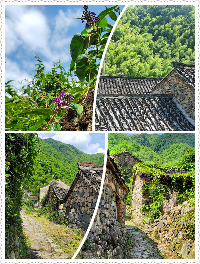 宁波古村落 – 余姚冠佩村-从走一回青春