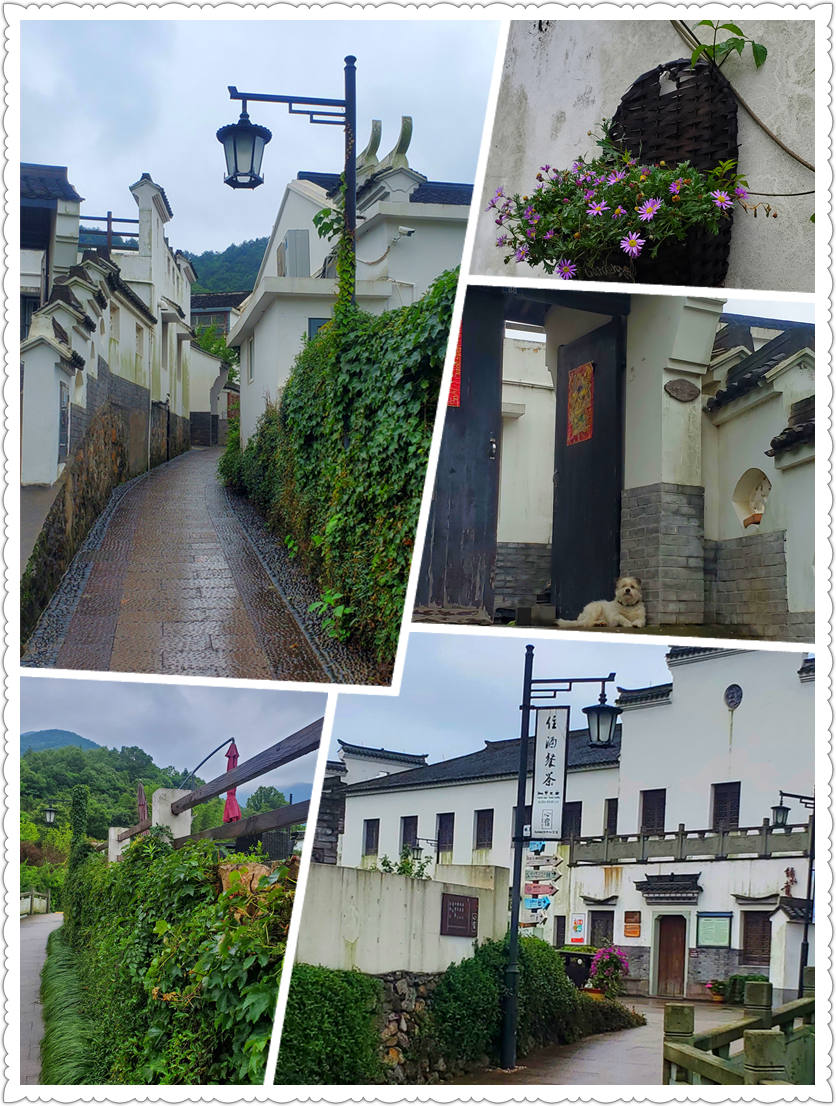 雨中漫步 – 南洞艺谷-从走一回青春