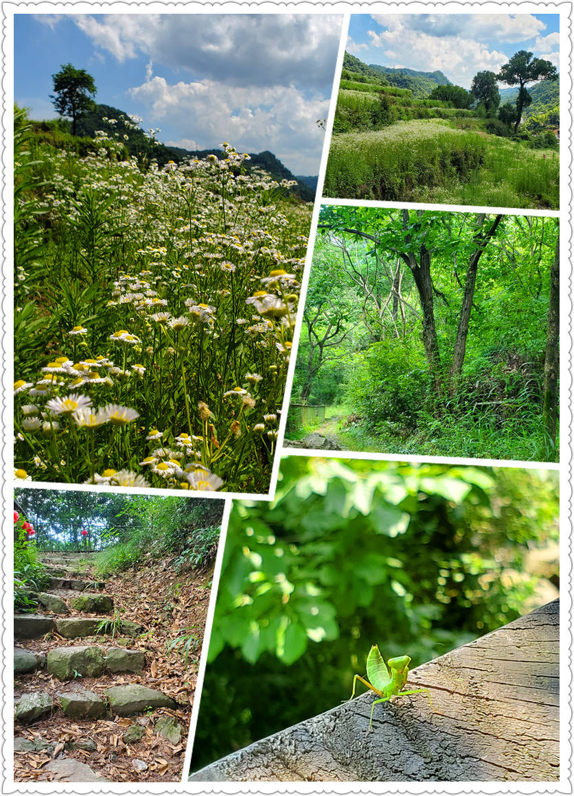 游天姥山麓 – 古村斑竹-从走一回青春