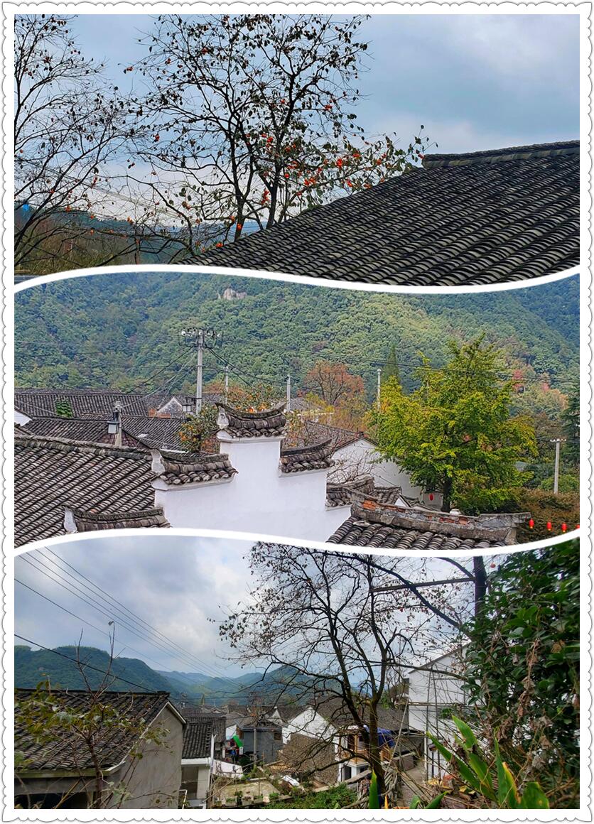 深秋时节,探访古村柿林-从走一回青春