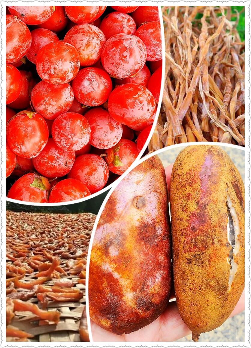 深秋时节，探访古村柿林-从走一回青春