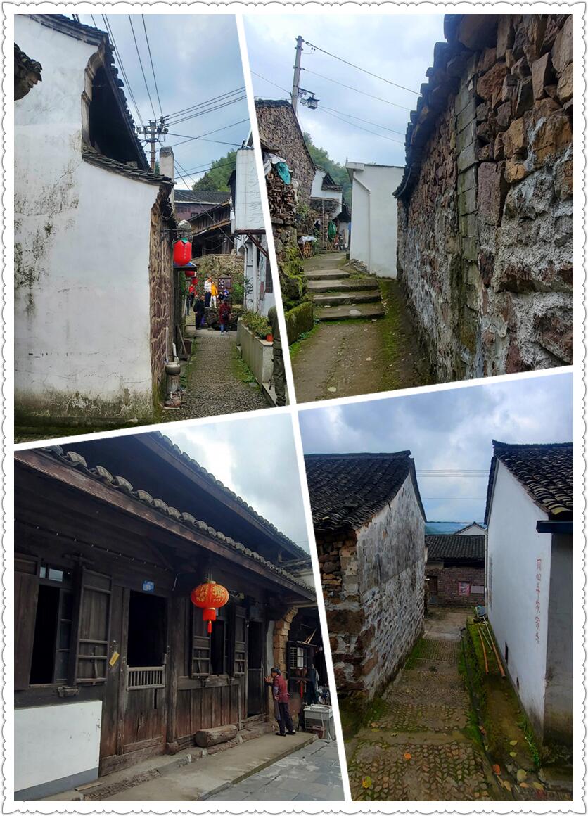 深秋时节，探访古村柿林-从走一回青春