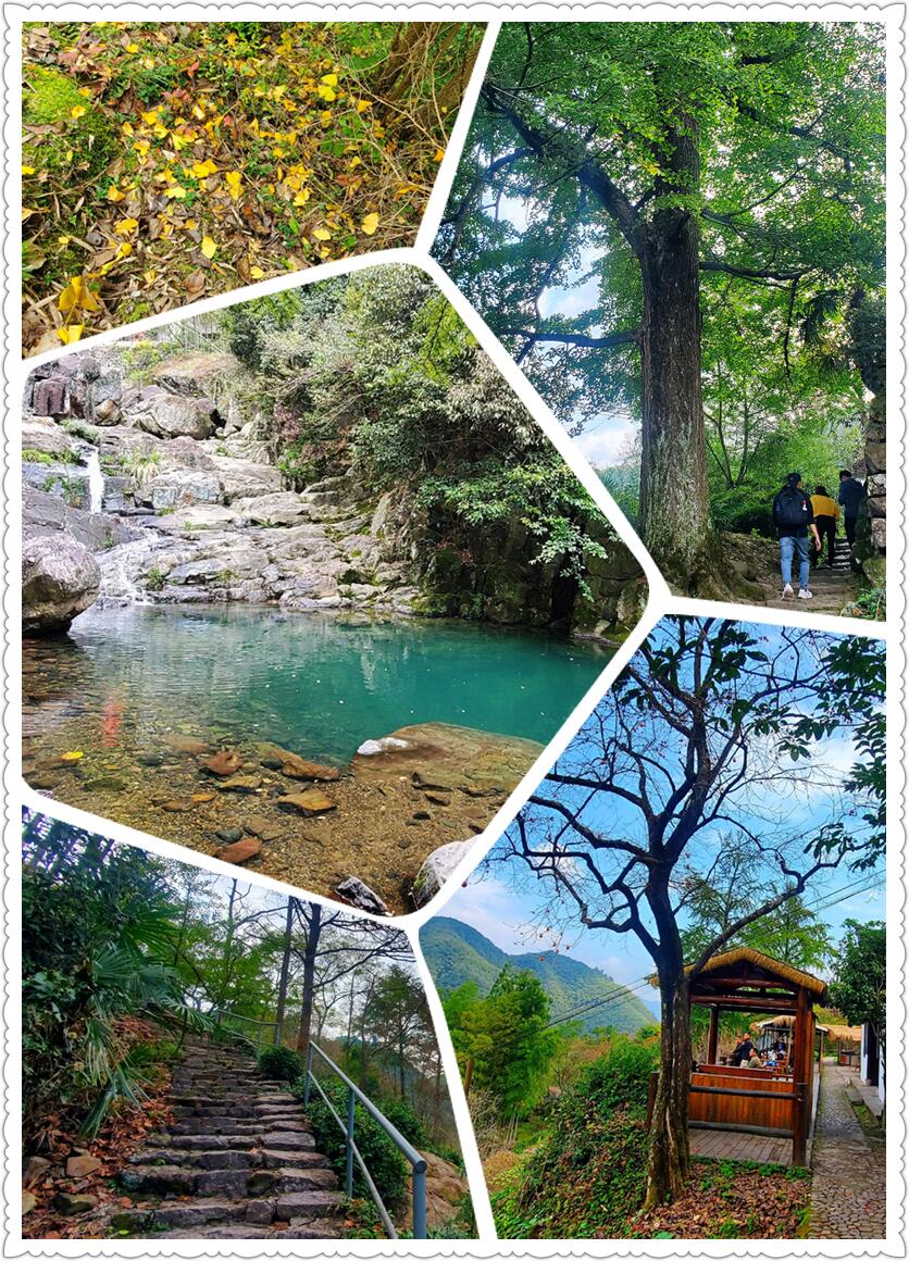 深秋时节，探访古村柿林-从走一回青春