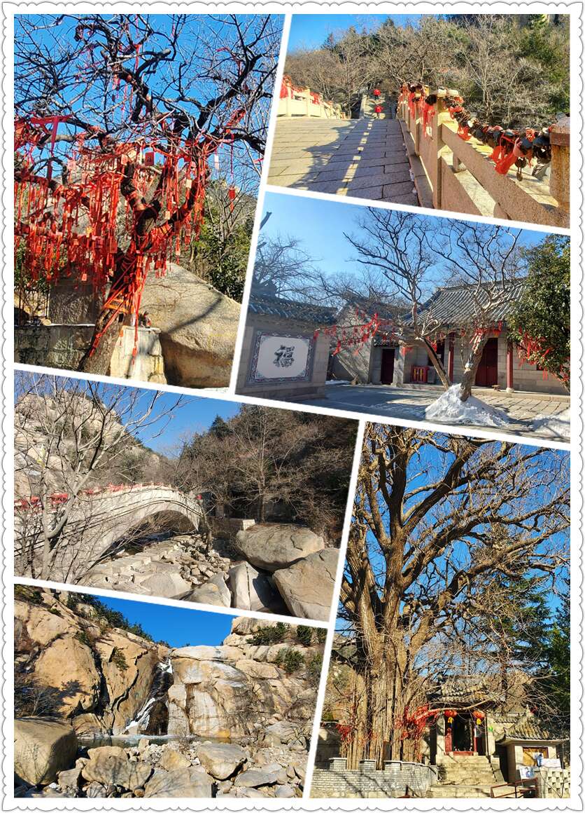 新年伊始 – 偶遇青岛-从走一回青春