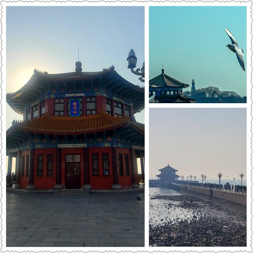 新年伊始 – 偶遇青岛-从走一回青春