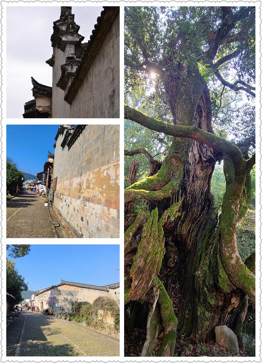 抓住假期的尾巴 – 探寻丽水-从走一回青春