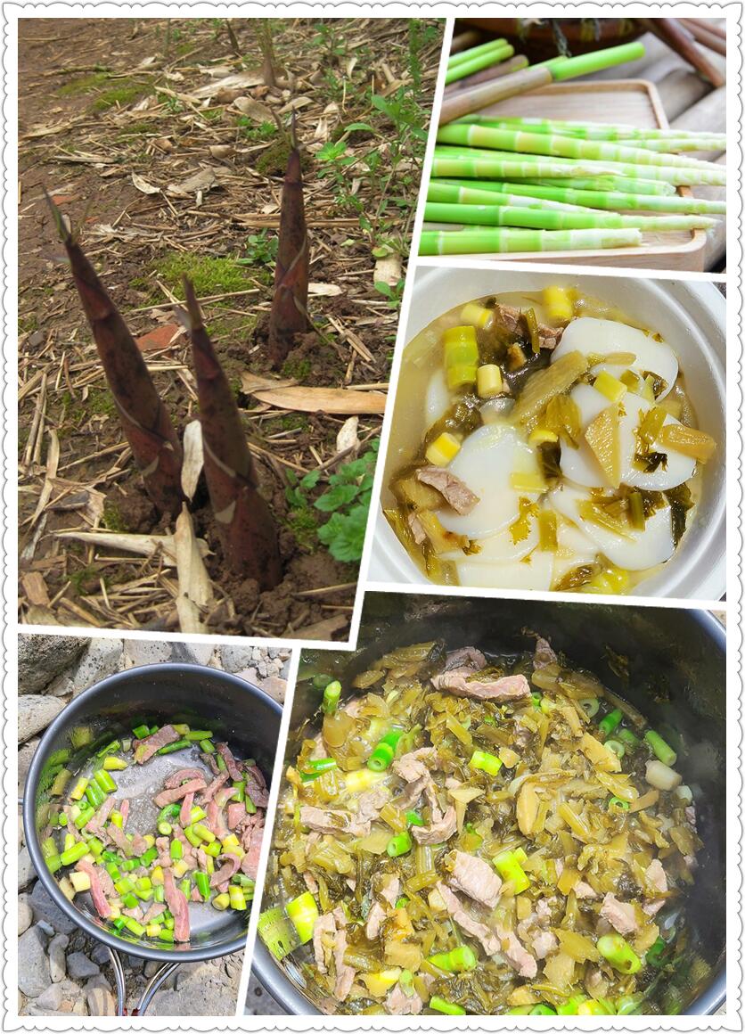 春天里，怎能少了一场野炊-从走一回青春